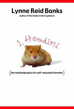Cover I, Houdini (eBook, ePUB)