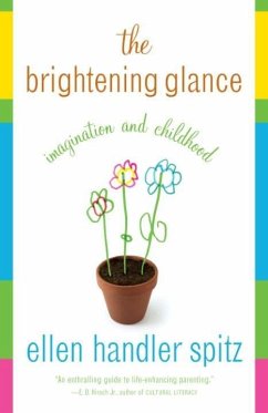 The Brightening Glance (eBook, ePUB) - Spitz, Ellen Handler