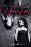 Velveteen (eBook, ePUB) Velveteen (eBook, ePUB)
