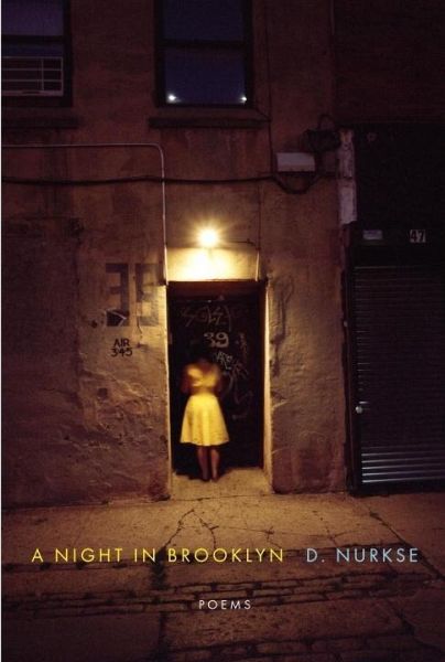 A Night in Brooklyn (eBook, ePUB)