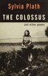 The Colossus (eBook, ePUB) - Bild 1