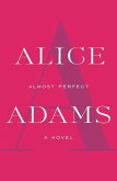 Almost Perfect (eBook, ePUB)