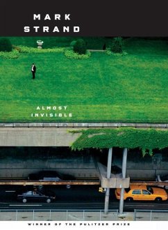 Almost Invisible (eBook, ePUB) - Strand, Mark