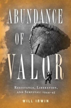 Abundance of Valor (eBook, ePUB) - Irwin, Will