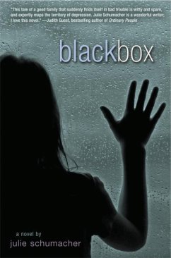 Black Box (eBook, ePUB) - Schumacher, Julie