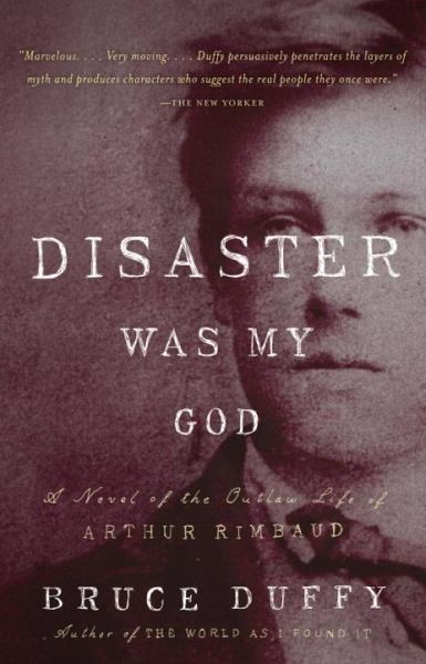 Disaster Was My God (eBook, ePUB)