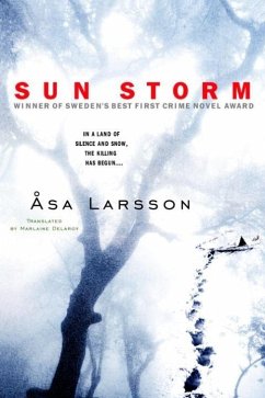 Sun Storm (eBook, ePUB) Cover Sun Storm (eBook, ePUB)