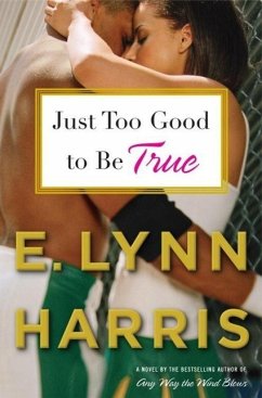 Cover Just Too Good to Be True (eBook, ePUB)