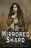 The Mirrored Shard: The Iron Codex Book Three (eBook, ePUB)