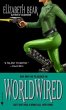Worldwired (eBook, ePUB) - Bild 1