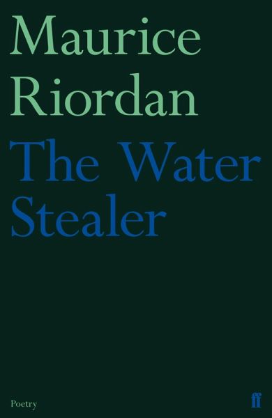 The Water Stealer (eBook, ePUB) The Water Stealer (eBook, ePUB)