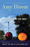 Between Here and Here (short story) (eBook, ePUB)