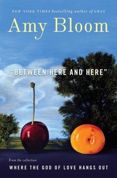 Between Here and Here (short story) (eBook, ePUB) - Bloom, Amy