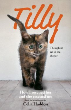 Cover Tilly: The Ugliest Cat (eBook, ePUB)