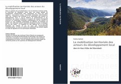 La mobilisation territoriale des acteurs du développement local