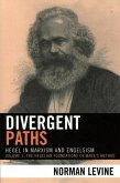 Divergent Paths (eBook, ePUB)