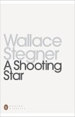 A Shooting Star (eBook, ePUB)