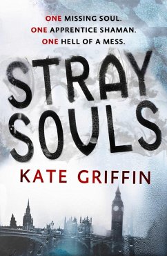 Cover Stray Souls (eBook, ePUB)