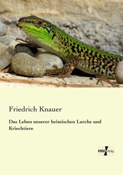 Das Leben unserer heimischen Lurche und Kriechtiere - Knauer, Friedrich