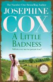 A Little Badness (eBook, ePUB)
