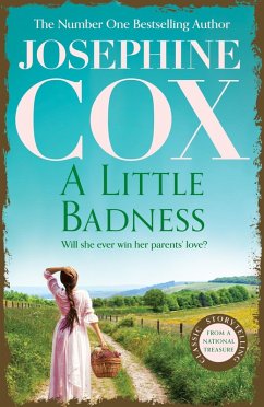 Cover A Little Badness (eBook, ePUB)