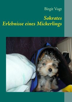 Sokrates (eBook, ePUB) - Vogt, Birgit
