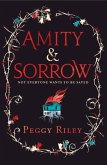 Amity & Sorrow (eBook, ePUB)