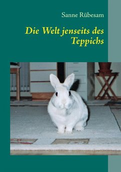 Die Welt jenseits des Teppichs (eBook, ePUB)