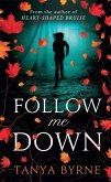 Follow Me Down (eBook, ePUB)