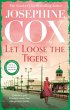 Let Loose the Tigers (eBook, ePUB) - Bild 1