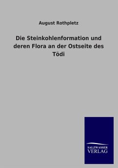 Cover Die Steinkohlenformation und deren Flora an der Ostseite des Tödi