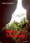 WEGE AUS DER TRENNUNG (eBook, ePUB)