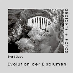Evolution der Eisblumen (eBook, ePUB)