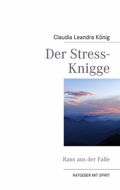 Der Stress-Knigge (eBook, ePUB)