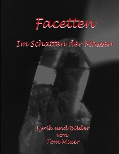 Cover Facetten (eBook, ePUB)