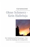 Ohne Schmerz - Kein Halleluja (eBook, ePUB)