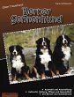 Unser Traumhund: Berner Sennenhund... - Bild 1