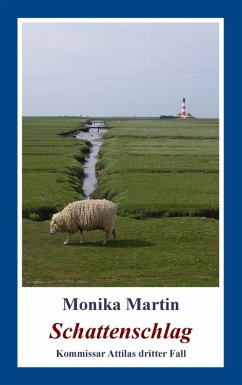 Cover Schattenschlag (eBook, ePUB)