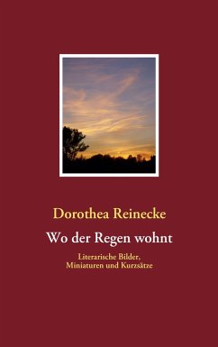 Wo der Regen wohnt (eBook, ePUB) - Reinecke, Dorothea