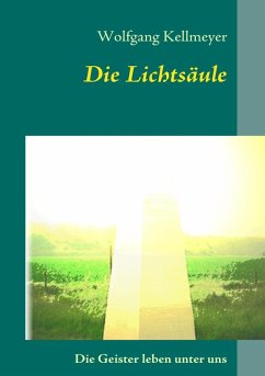 Die Lichtsäule (eBook, ePUB)