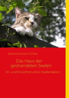 Das Haus der gestrandeten Seelen (eBook, ePUB)