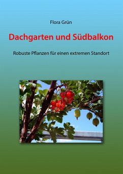 Dachgarten und Südbalkon (eBook, ePUB) - Grün, Flora