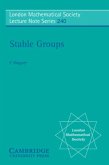 Stable Groups (eBook, PDF)