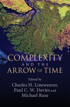 Complexity and the Arrow of Time (eBook, PDF)