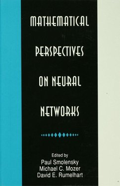 Mathematical Perspectives on Neural Networks (eBook, PDF)