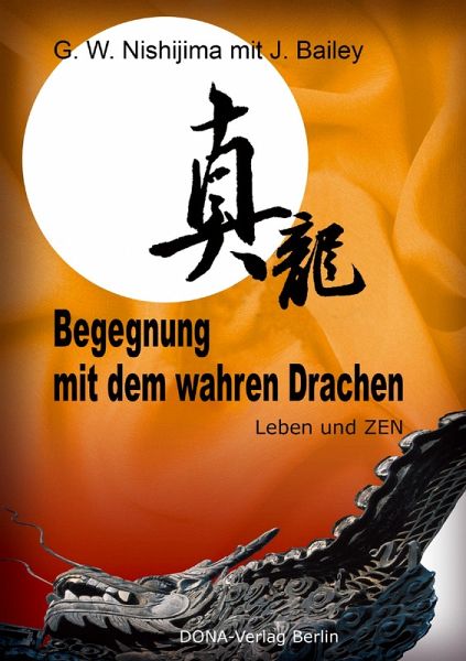 Begegnung mit dem wahren Drachen (eBook, ePUB)