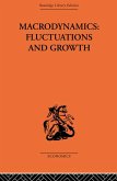 Macrodynamics: Fluctuations and Growth (eBook, ePUB)