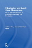 Privatization and Supply Chain Management (eBook, ePUB)