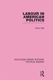 Labour in American Politics (Routledge Library Editions: Political Science Volume 3) (eBook, PDF)