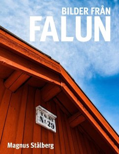 Bilder från Falun (eBook, ePUB)